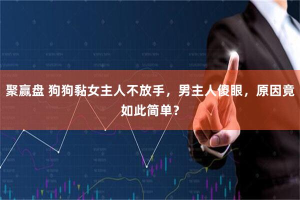 聚赢盘 狗狗黏女主人不放手，男主人傻眼，原因竟如此简单？