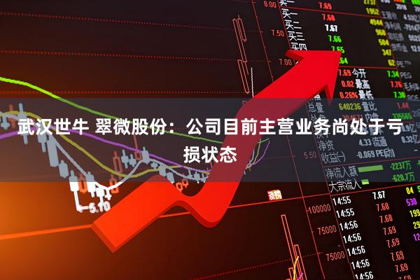 武汉世牛 翠微股份：公司目前主营业务尚处于亏损状态