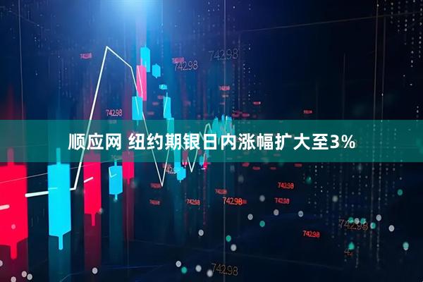 顺应网 纽约期银日内涨幅扩大至3%