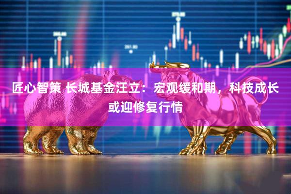 匠心智策 长城基金汪立：宏观缓和期，科技成长或迎修复行情