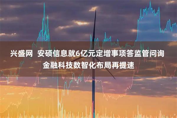 兴盛网  安硕信息就6亿元定增事项答监管问询 金融科技数智化布局再提速